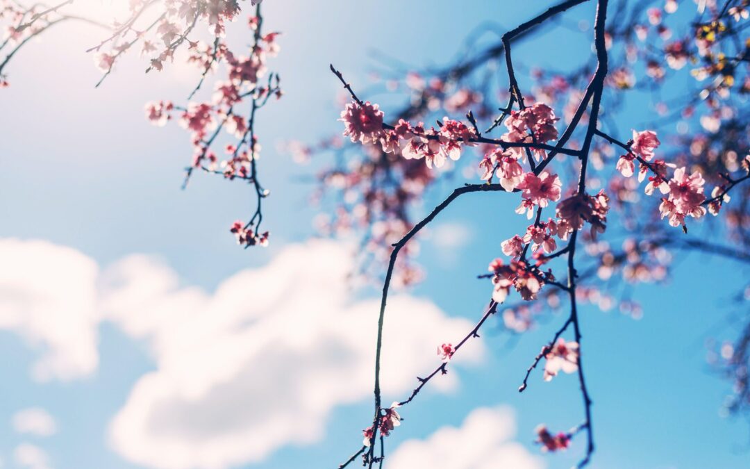 April 2023 Auf die Intuition hören, Verbindungen stärken und emotionale Stabilität aufbauen – Deine kabbalistische Vorhersage